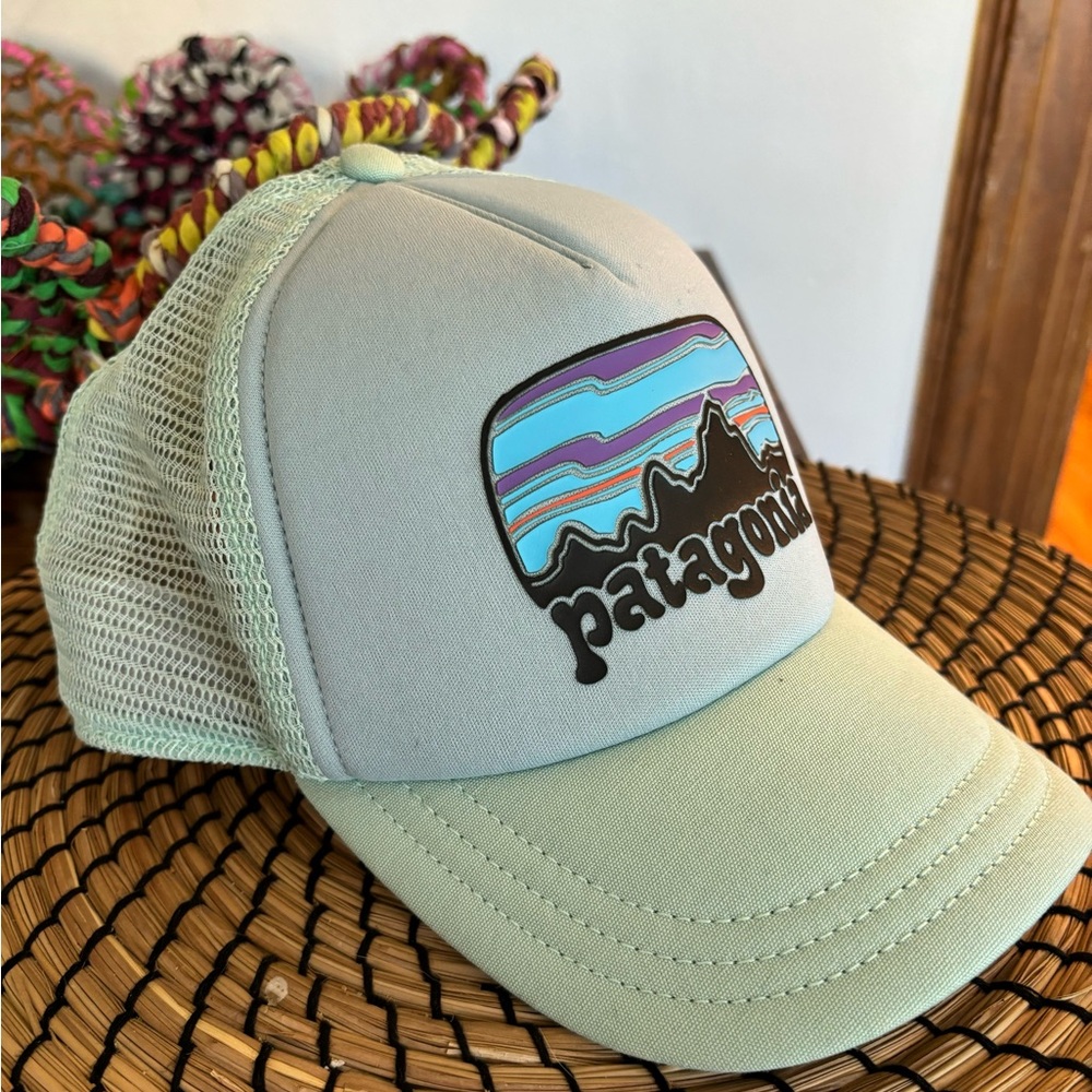Patagonia Fitz Roy Far Out Interstate Hat